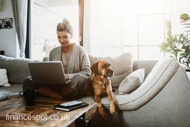 photo of business woman sitting on the sofa with dog using laptop to working from home